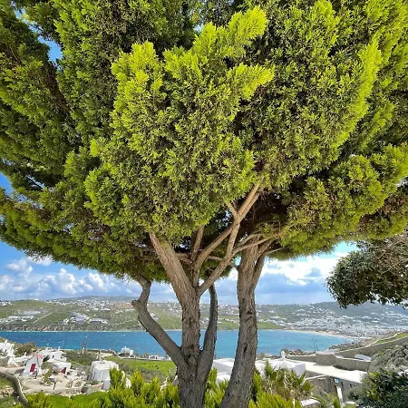 Yalos Mykonos Ornos Pouli Private W Shared Swimming Pool Apartamento